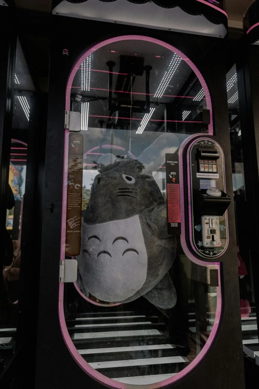 a display case of a stuffed animal in the window