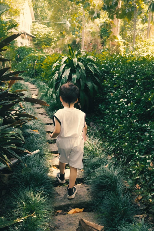 a  walking down the path through the jungle