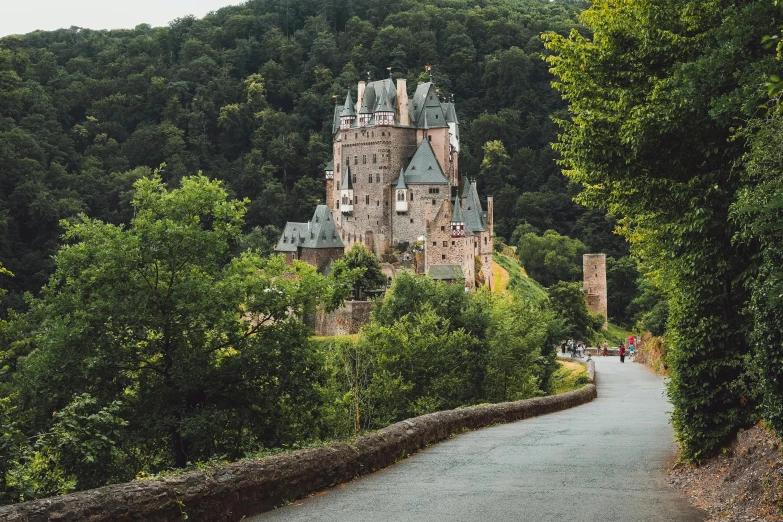 a scenic old castle in the middle of a forest