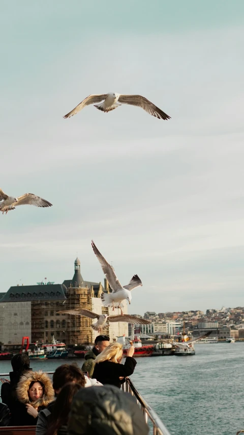 two birds flying over some boats in the water