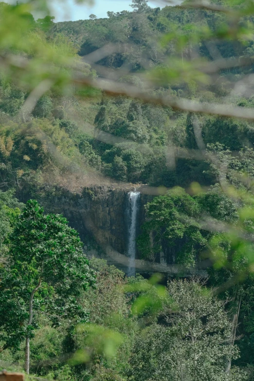 the view looking down at the waterfall from behind some trees