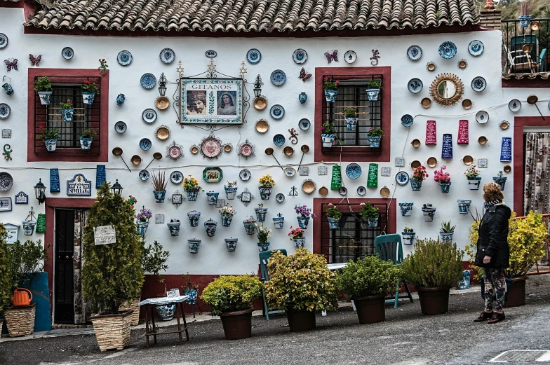 several flowers in pots near a house with plates and windows