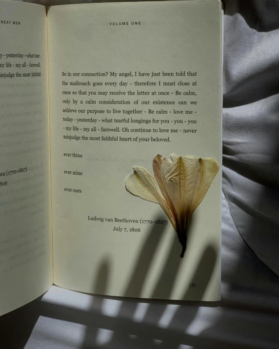 a book with a flower inside it on a bed