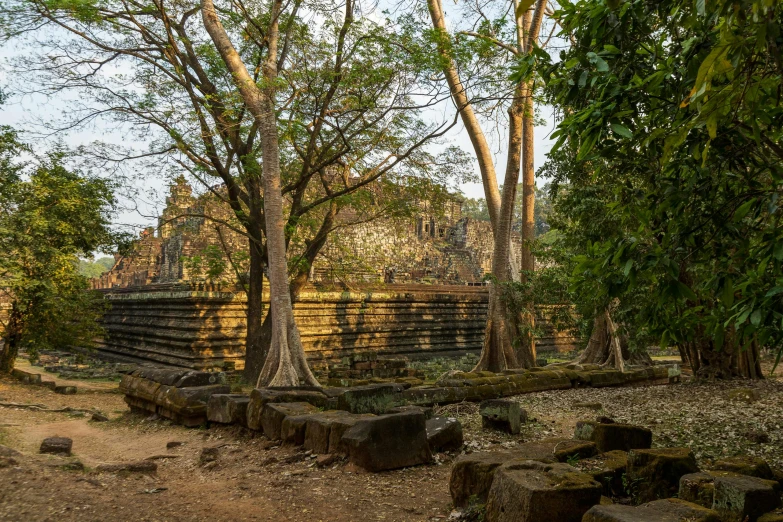 trees and rocks with the ruins in the background