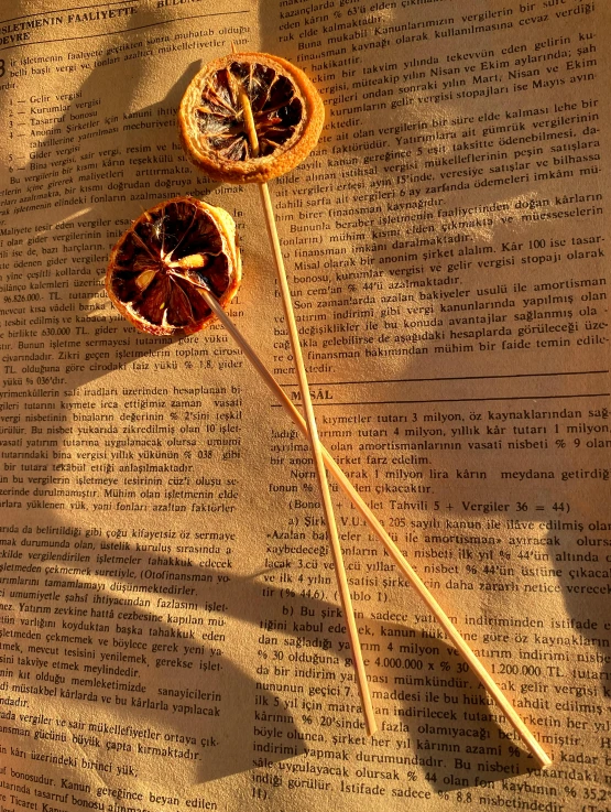 two oranges on a book with two wooden sticks