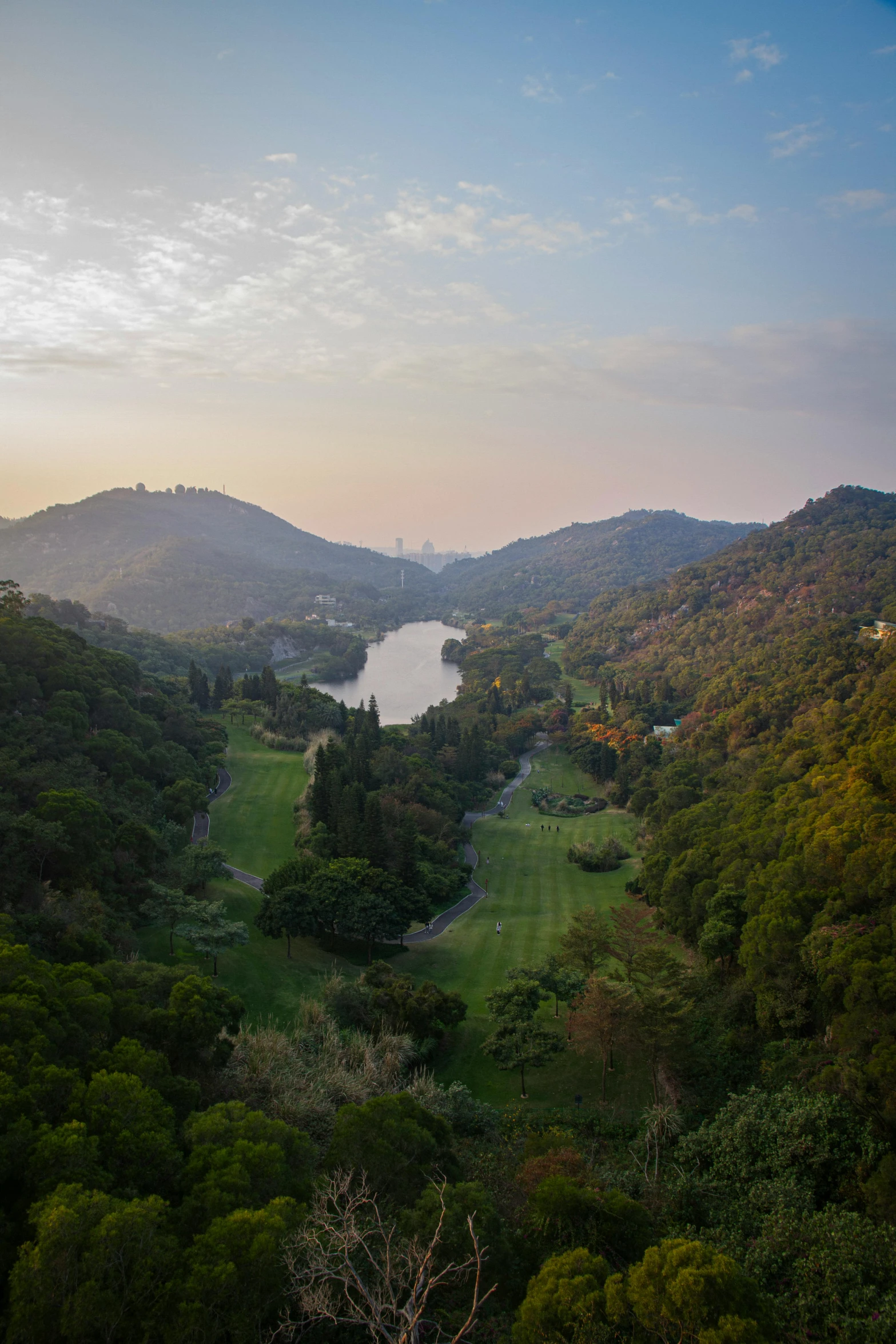 a view of trees, and a river with a boat in it