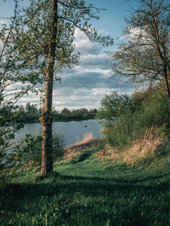 the bench is overlooking the lake on the grass