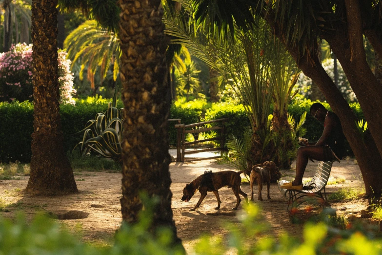 a man sitting on a bench while next to a dog