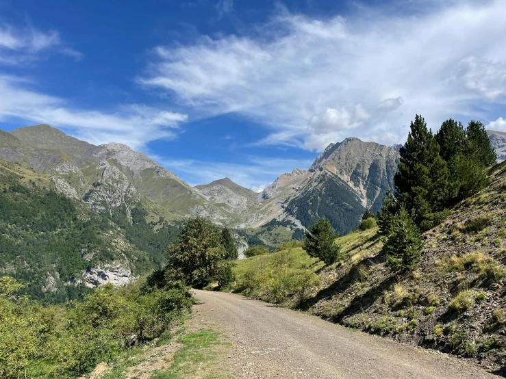 a dirt road with trees and mountains in the background