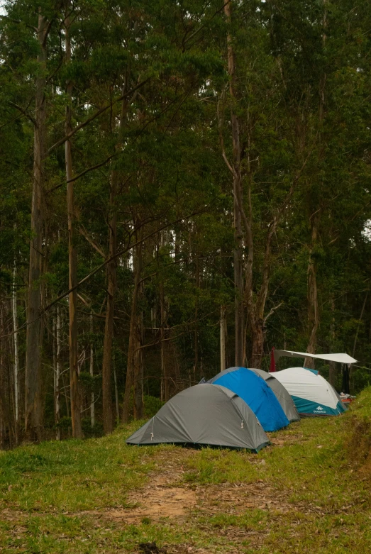 two tents pitched up along the side of a wooded slope