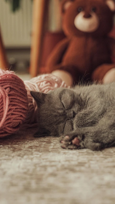 a small kitten laying on the ground next to a knitted ball of yarn