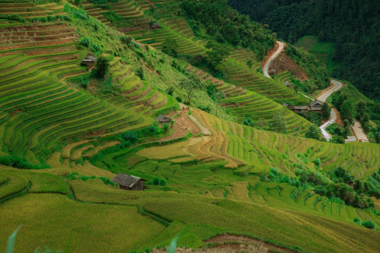 a long row of hills that are filled with grass