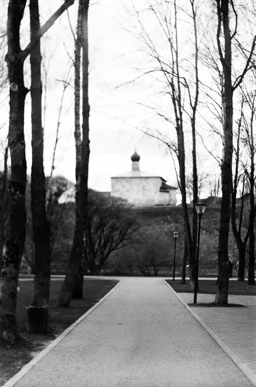 a black and white po of a street surrounded by trees