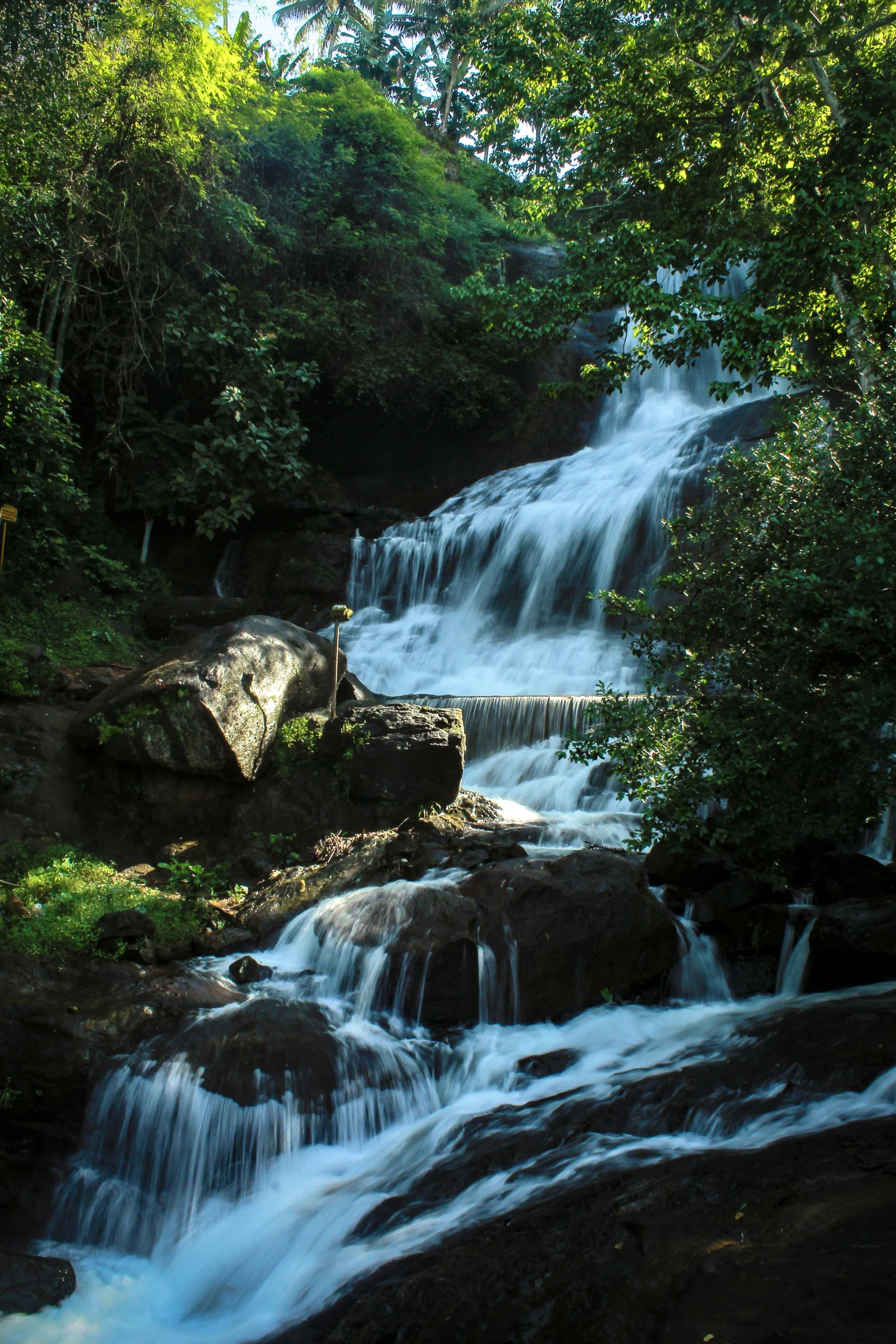 waterfall of water flowing down from rocks and trees