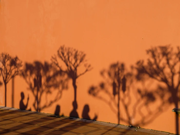 shadows cast on the side of a wall and wall