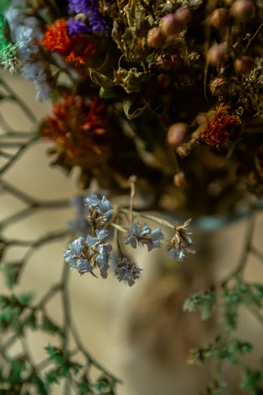 a close up image of some flowers in a vase