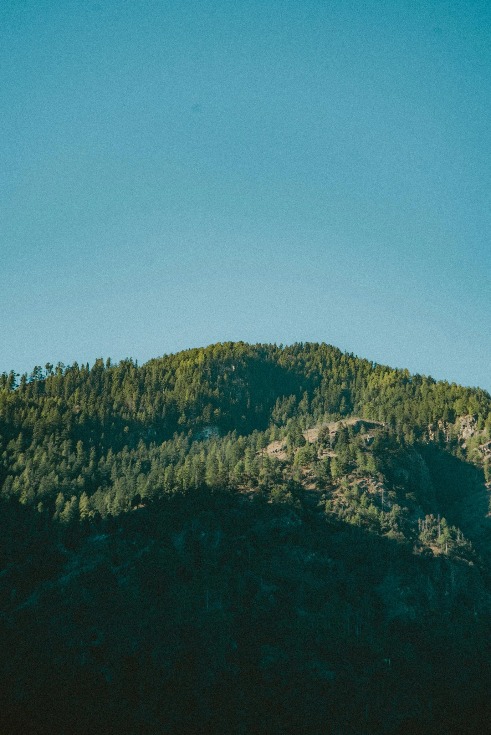 a distant mountain ridge rises above a forested forest