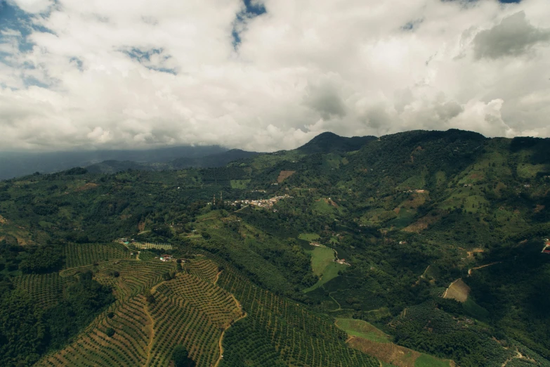 the countryside with tea fields and green hills under a cloudy sky