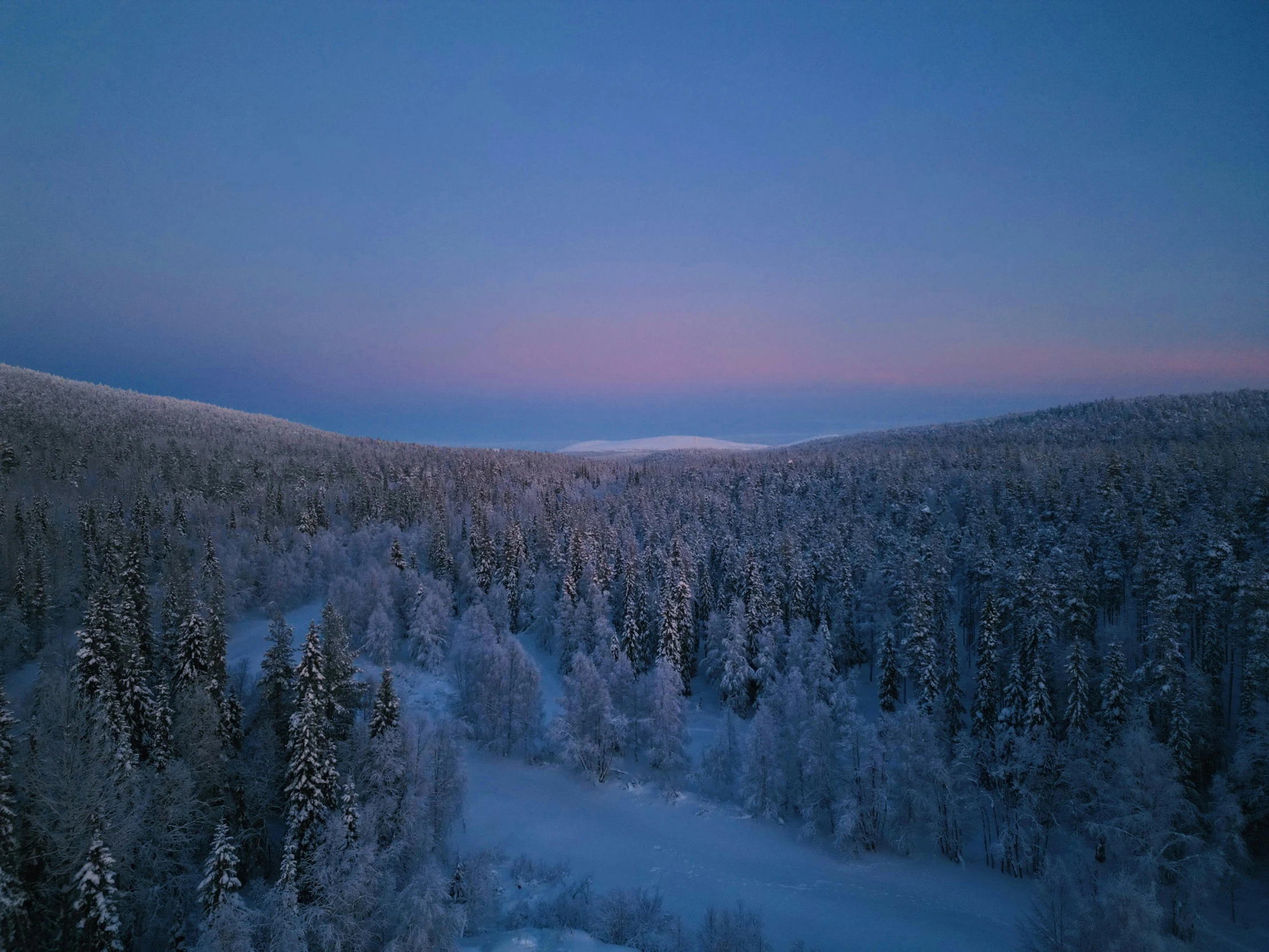 trees covered in snow are under a blue sky