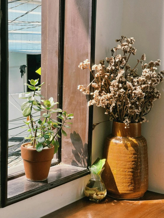 some flowers that are in a vase