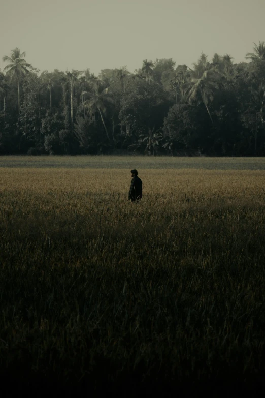 a person standing in a field near a forest