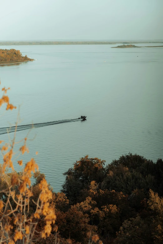 a boat speeding across a large body of water