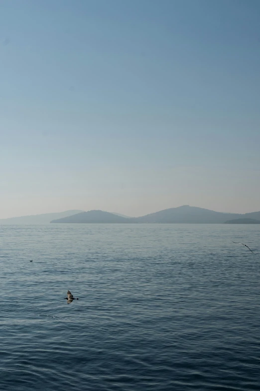 a person in the water with a surfboard