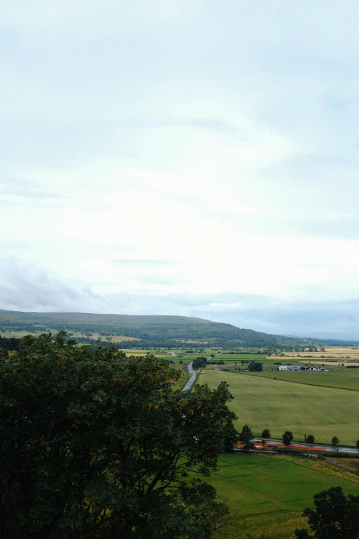 an expansive landscape with trees in the foreground and a mountain range in the distance