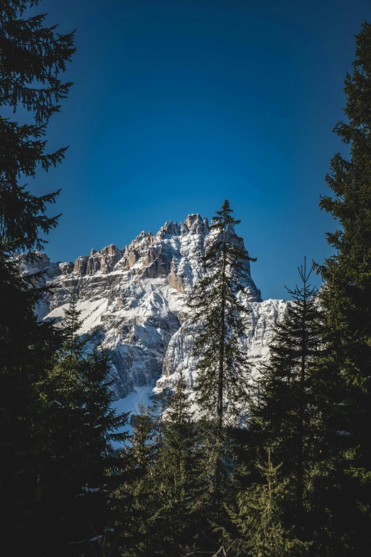 a large mountain is pictured through some trees