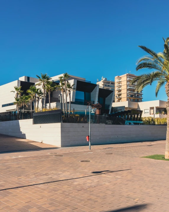 a palm tree sitting in front of a white building