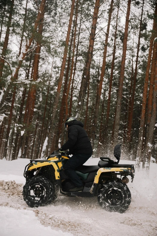 a person riding an atv through the snow in front of a forest