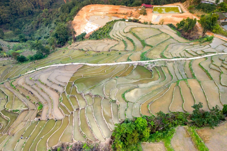 a field of grass is in the middle of an aerial s