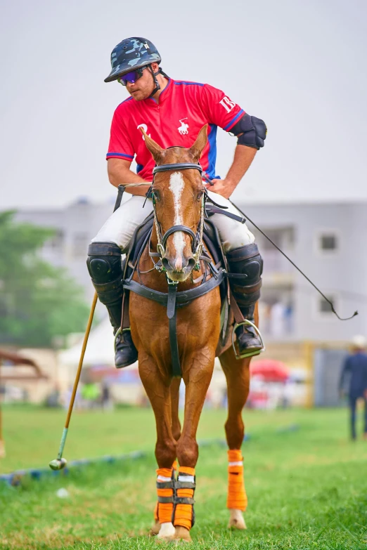 a jockey rides his horse, in a field