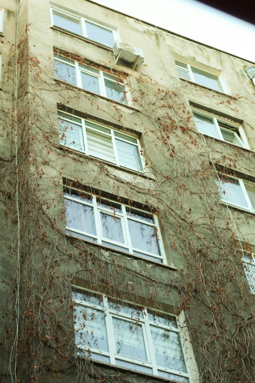 a very tall building with many windows and ivy growing all around