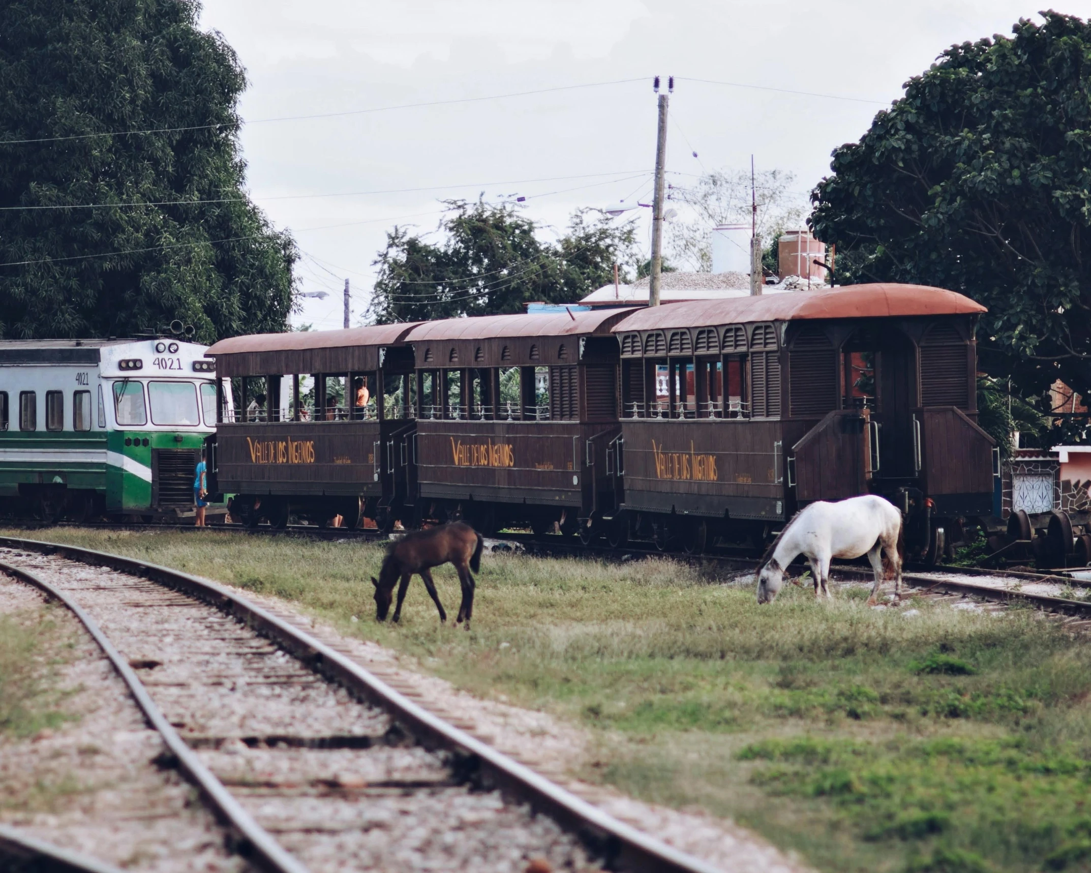 two horses graze in front of an old train