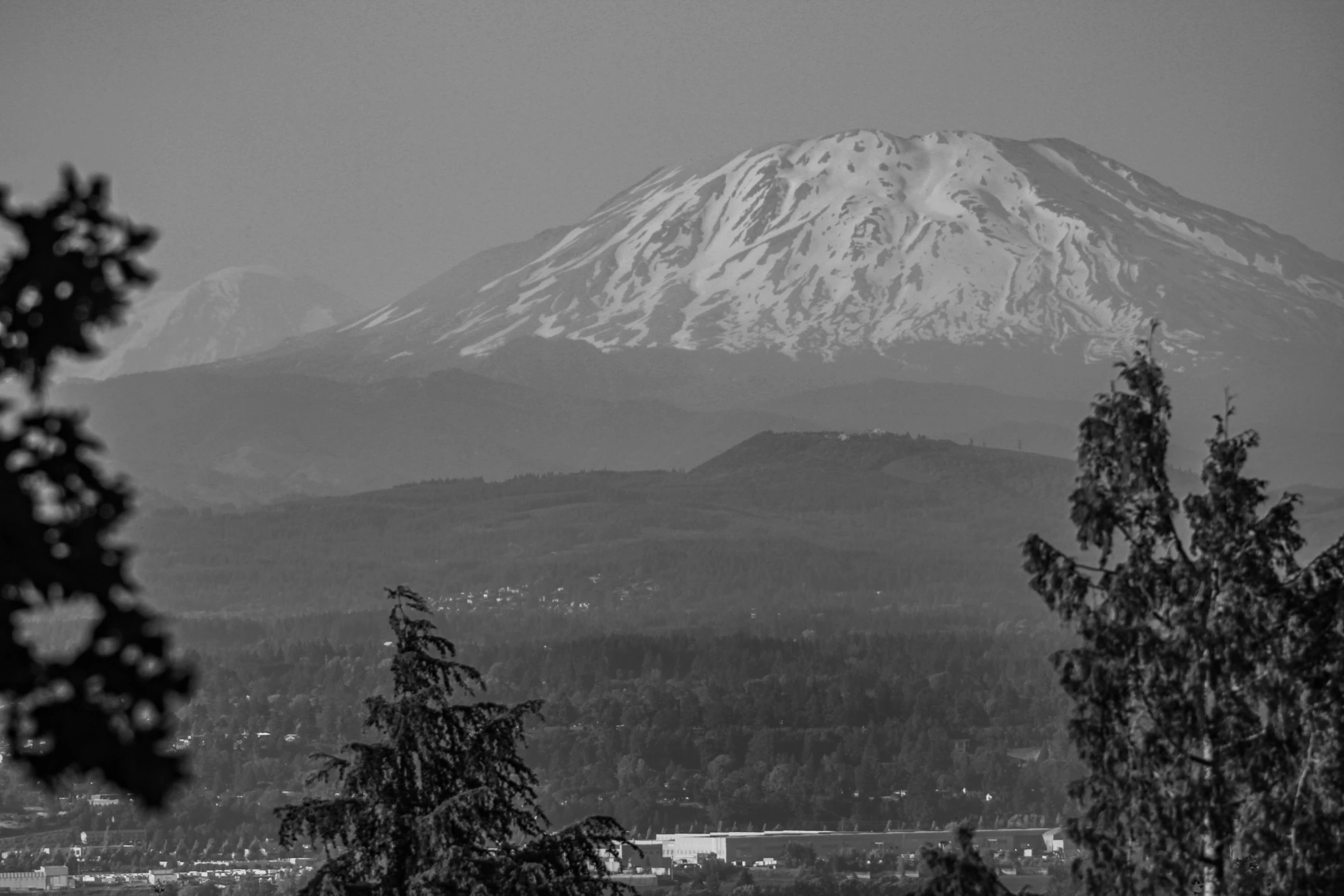 a black and white po of a mountain and some trees