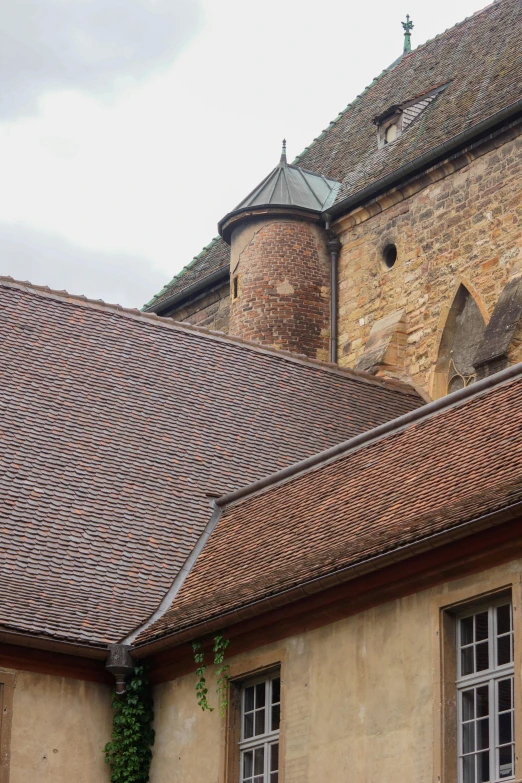 an old stone building with windows and some plants