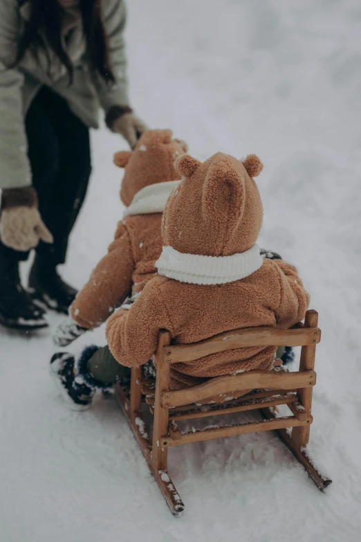 two teddy bears on a sled being pulled by a person