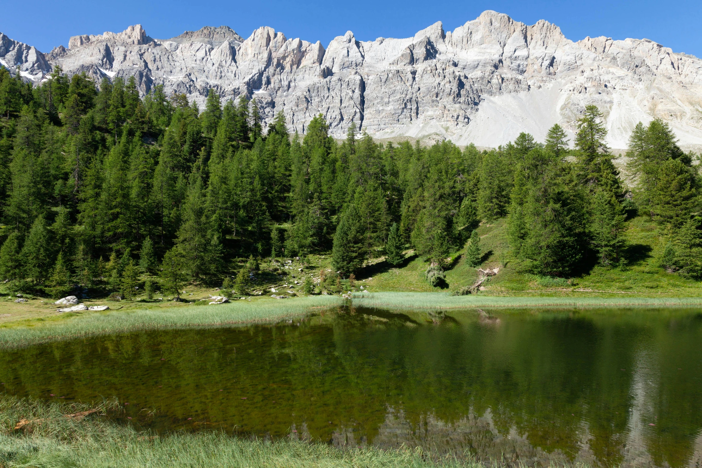 the mountains and the water are all covered in grass