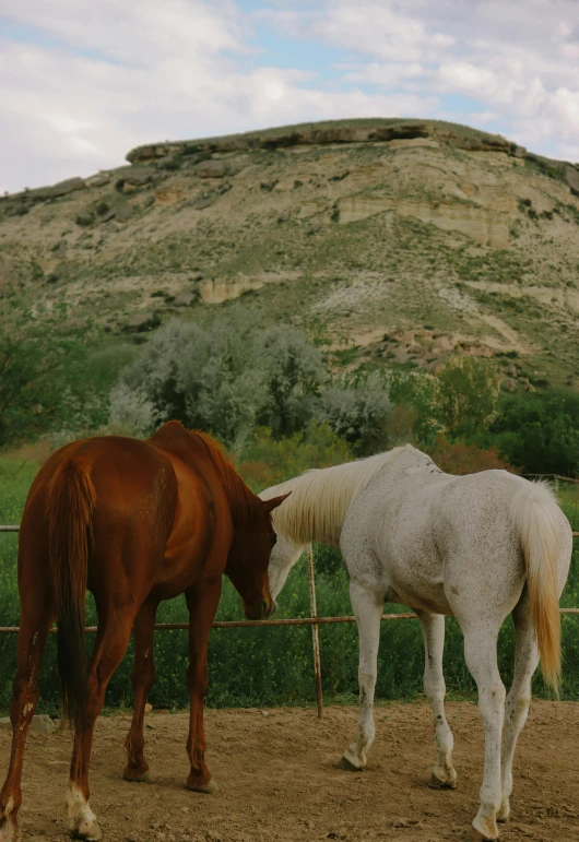 two horses in dirt pen near mountains and a fence