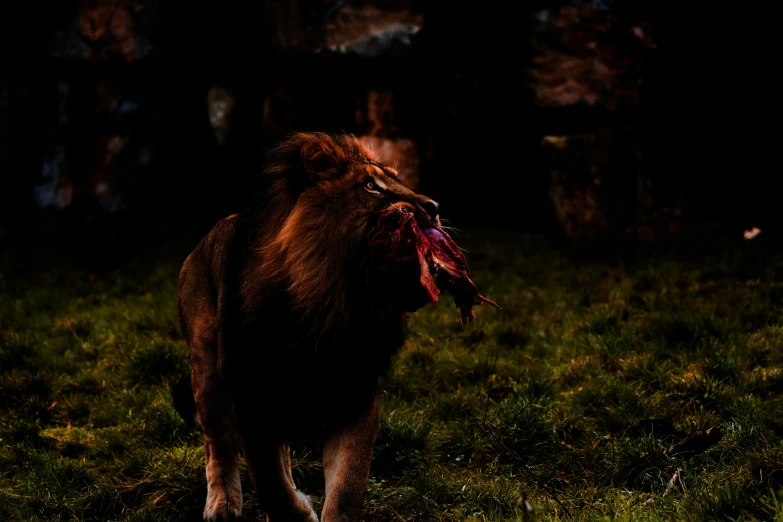 a brown animal walking through the grass with trees in the background