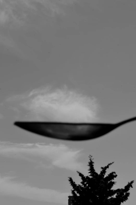 a large curved object is flying past a tree