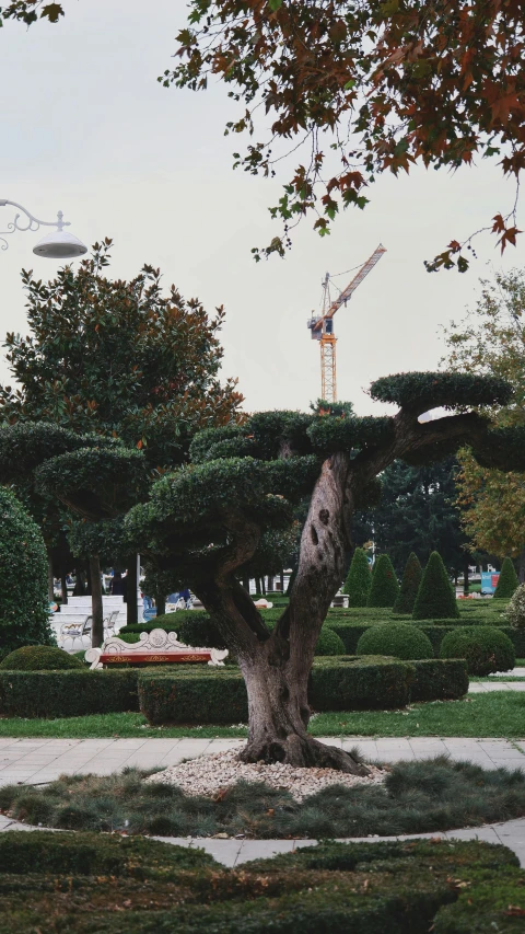 a beautiful landscape in a park with a lot of trees