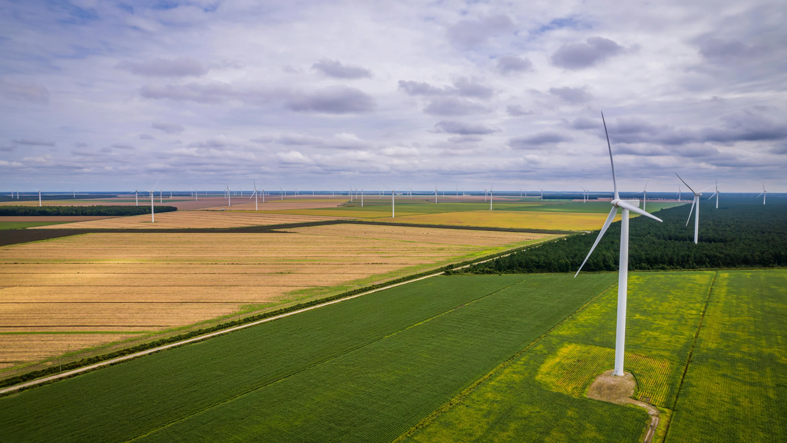 a wind farm is located in the middle of a field of crops