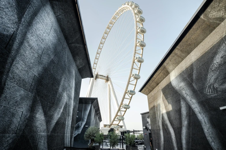 the ferris wheel is on display in an outdoor park