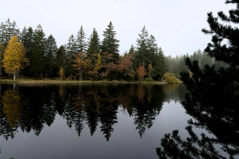 a lake surrounded by pine trees and trees with yellow leaves