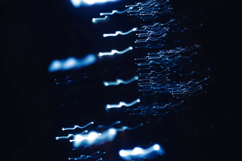 blurry blue christmas tree lights shine on dark background