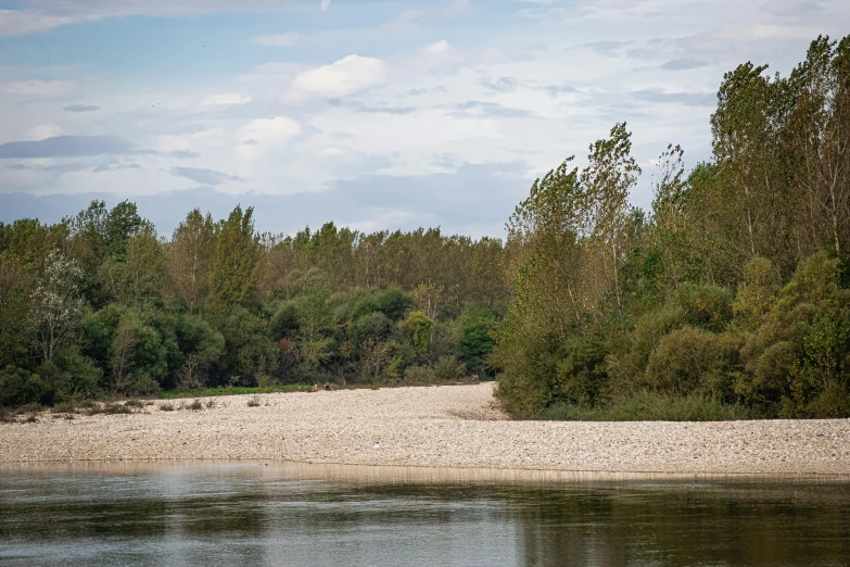 a person is walking with a dog near a river