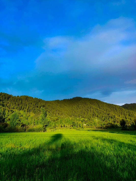 an image of the sky and grass of an open field