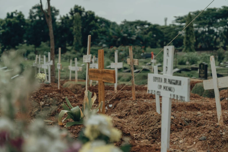 a cemetery has many wooden crosses in it